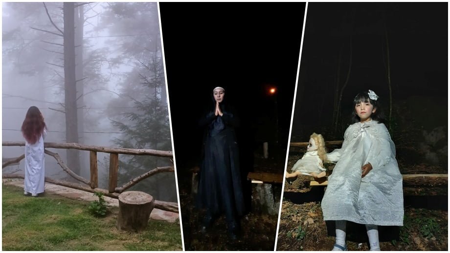 En este momento estás viendo Noche de leyendas tradicionales entre niebla y bosque