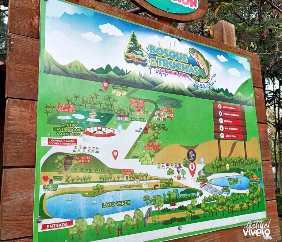 El Bosque de las Truchas, precios y actividades El Bosque de las Truchas, precios y actividades