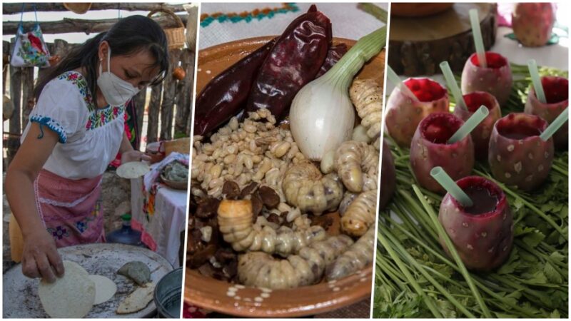 Muestra Gastronómica Santiago de Anaya 2023