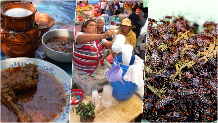 En este momento estás viendo Festival Cultural Pulque y Gastronomía, Pueblo Nuevo